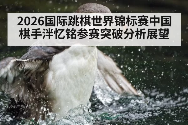 2026国际跳棋世界锦标赛中国棋手泮忆铭参赛突破分析展望
